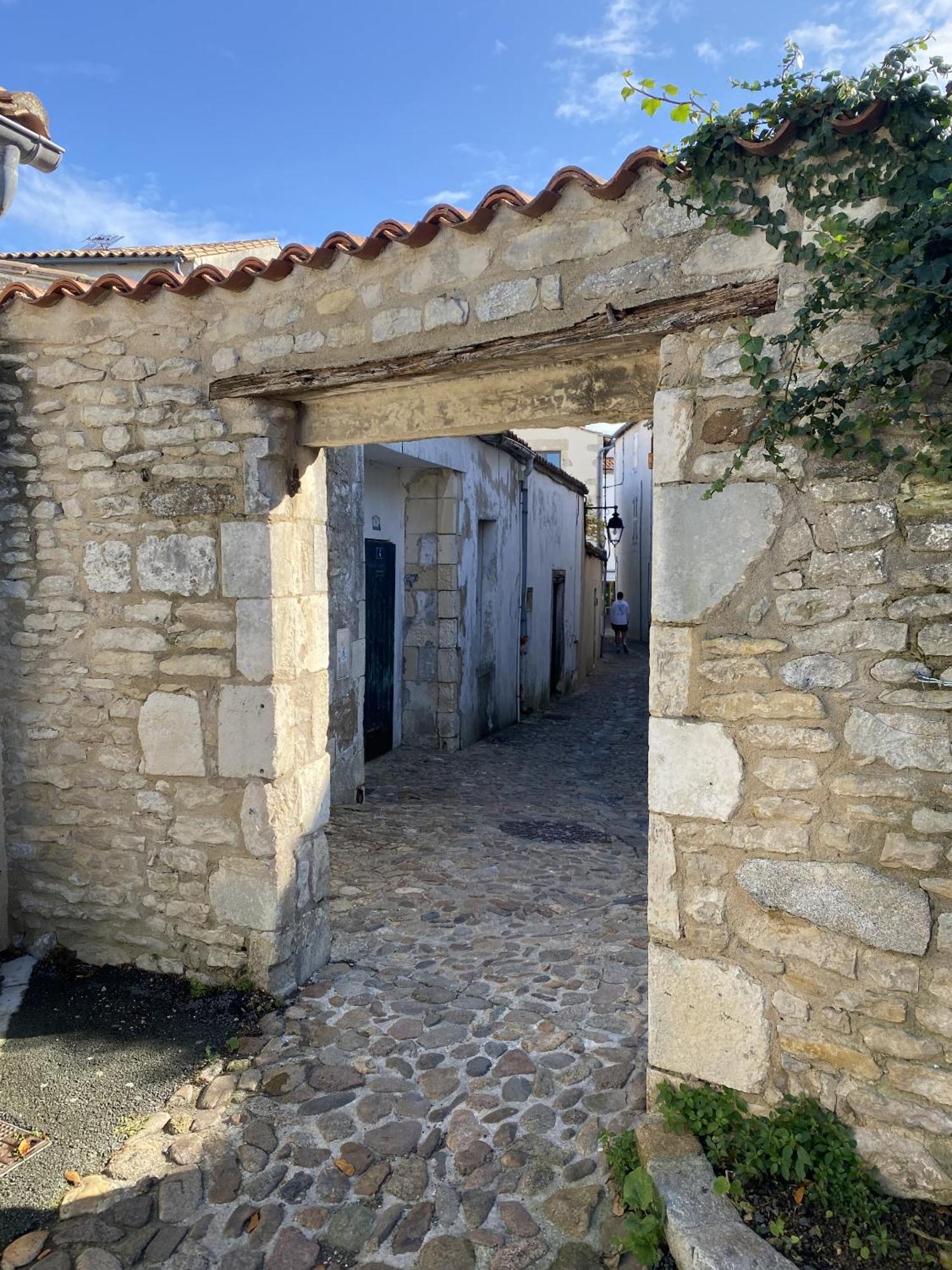 Les Remparts Daire Saint-Martin-de-Ré Dış mekan fotoğraf