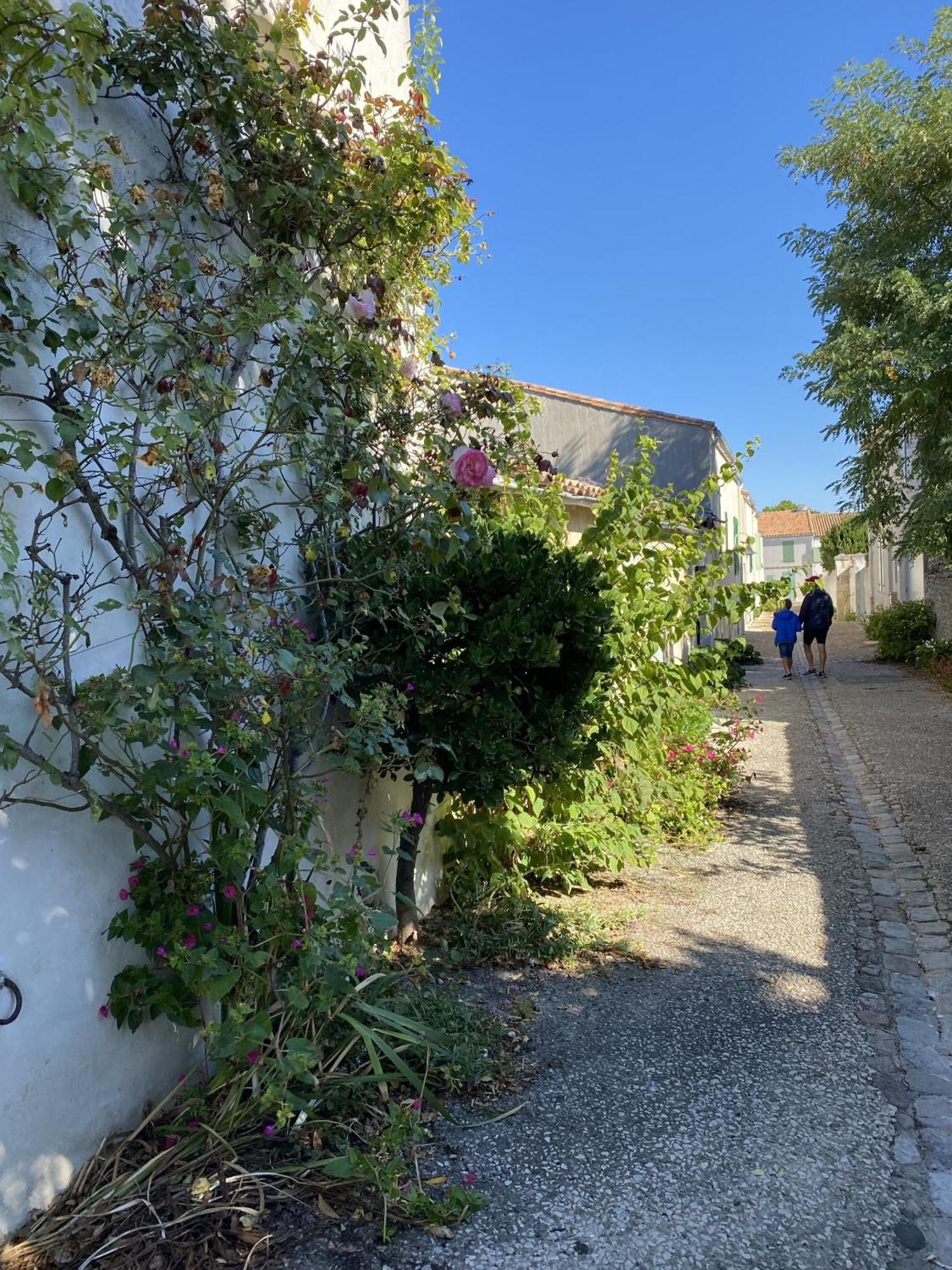 Les Remparts Daire Saint-Martin-de-Ré Dış mekan fotoğraf